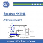 Spectrus NX1106